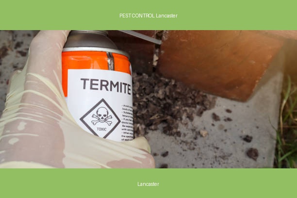 PEST CONTROL Lancaster